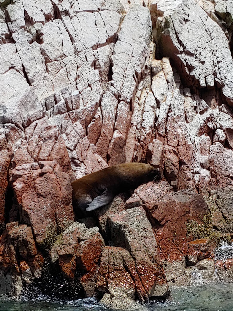 Uncharted Territory? Towards a Common Threat Analysis and a Strategic Compass for EU security and defence